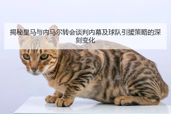 揭秘皇马与内马尔转会谈判内幕及球队引援策略的深刻变化